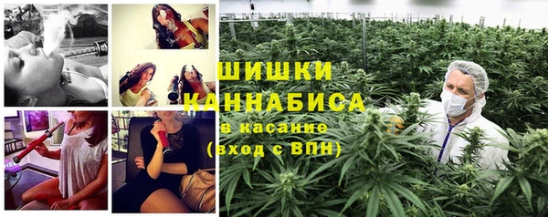 прущая мука Бородино