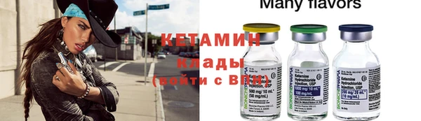 сатива Бронницы