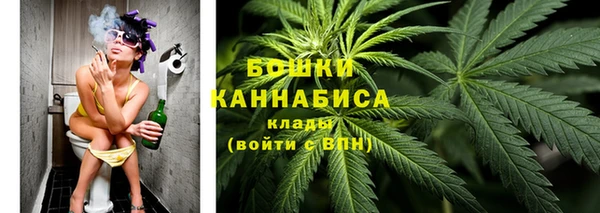 Альфа ПВП Верея